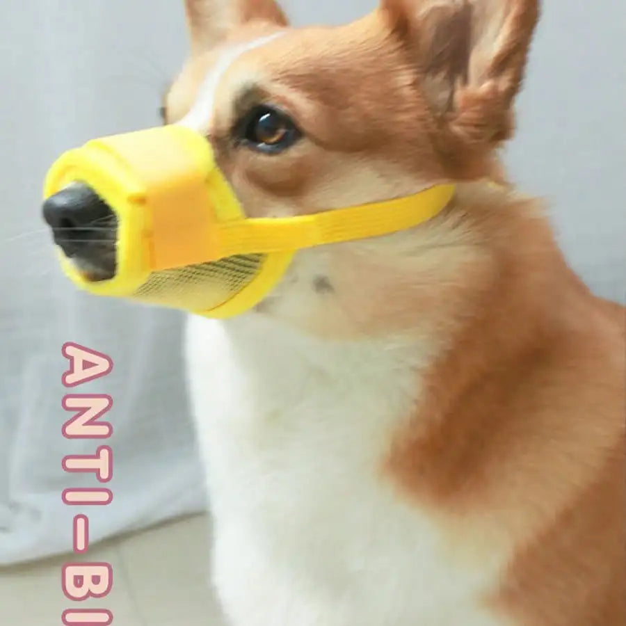 Adjustable Dog Muzzle With Breathable Mesh For Training