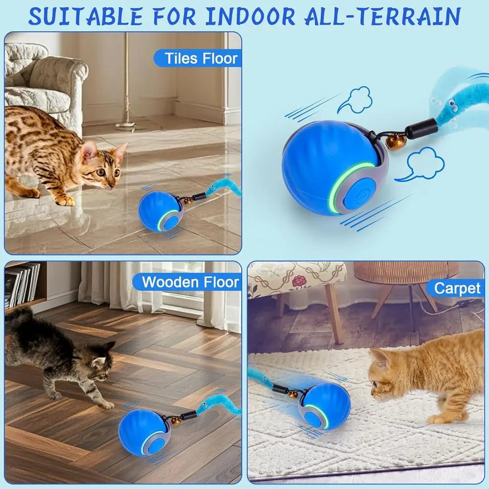 Interactive Cat Ball With 3 Tails For Indoor Cats