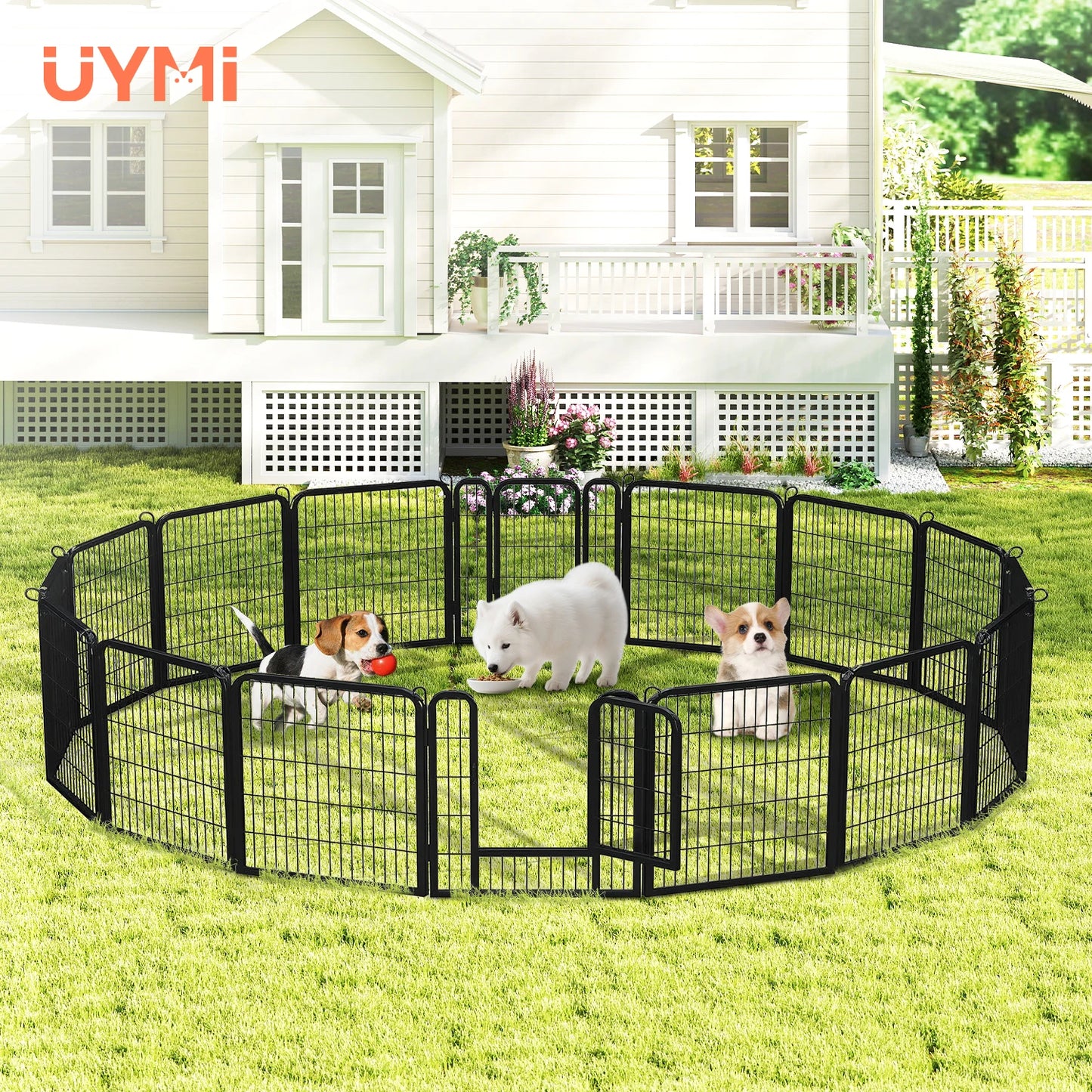 PEQULTI Heavy-Duty Metal Puppy Playpen for Indoor and Outdoor Use