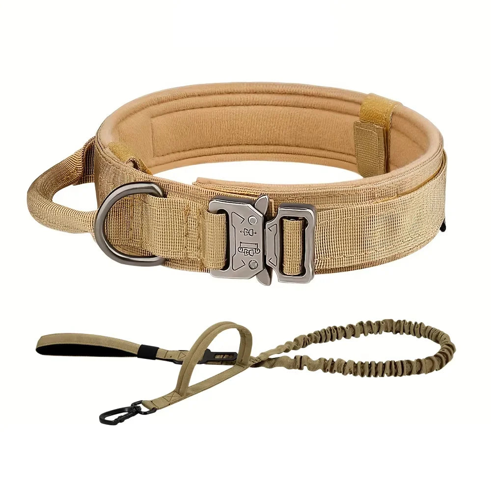 Nylon Dog Training Collar With Leash Set And Control Handle