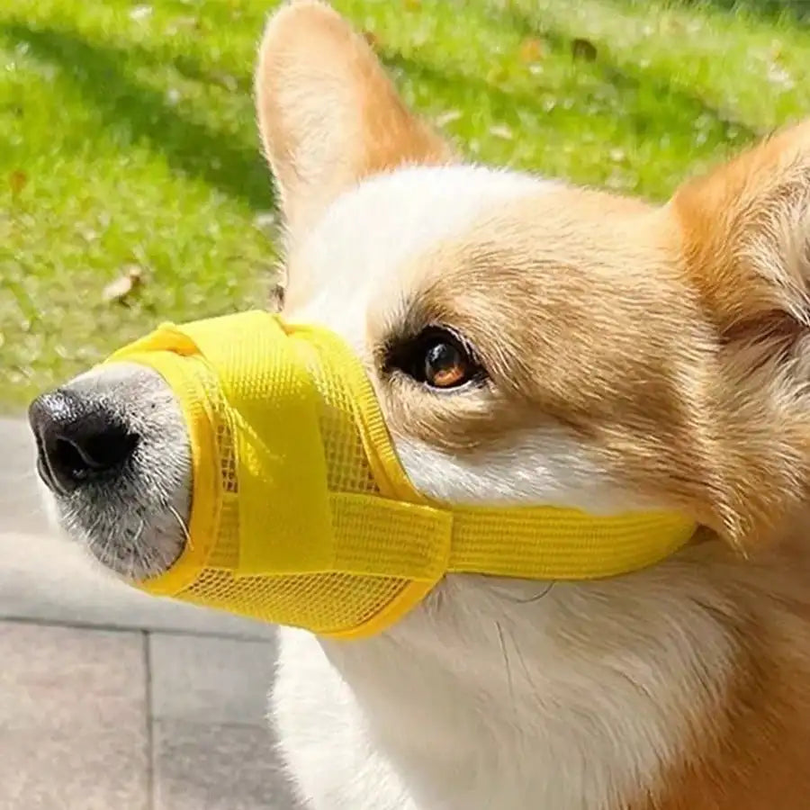 Adjustable Dog Muzzle With Breathable Mesh For Training