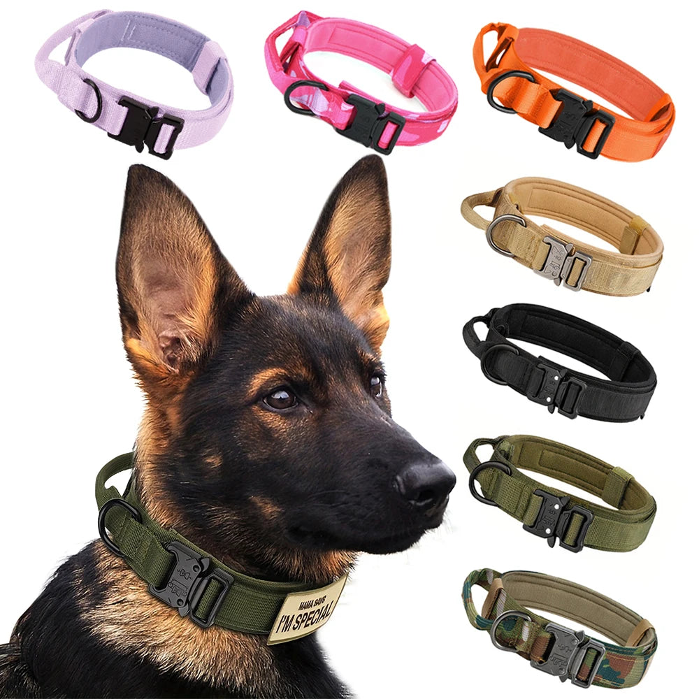 Nylon Dog Training Collar With Leash Set And Control Handle
