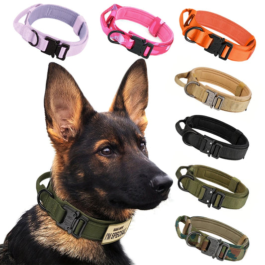 Nylon Dog Training Collar With Leash Set And Control Handle
