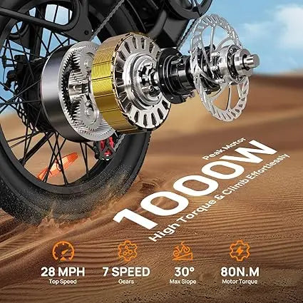 URLIFE 1000W E20 Electric Bike with Removable Battery