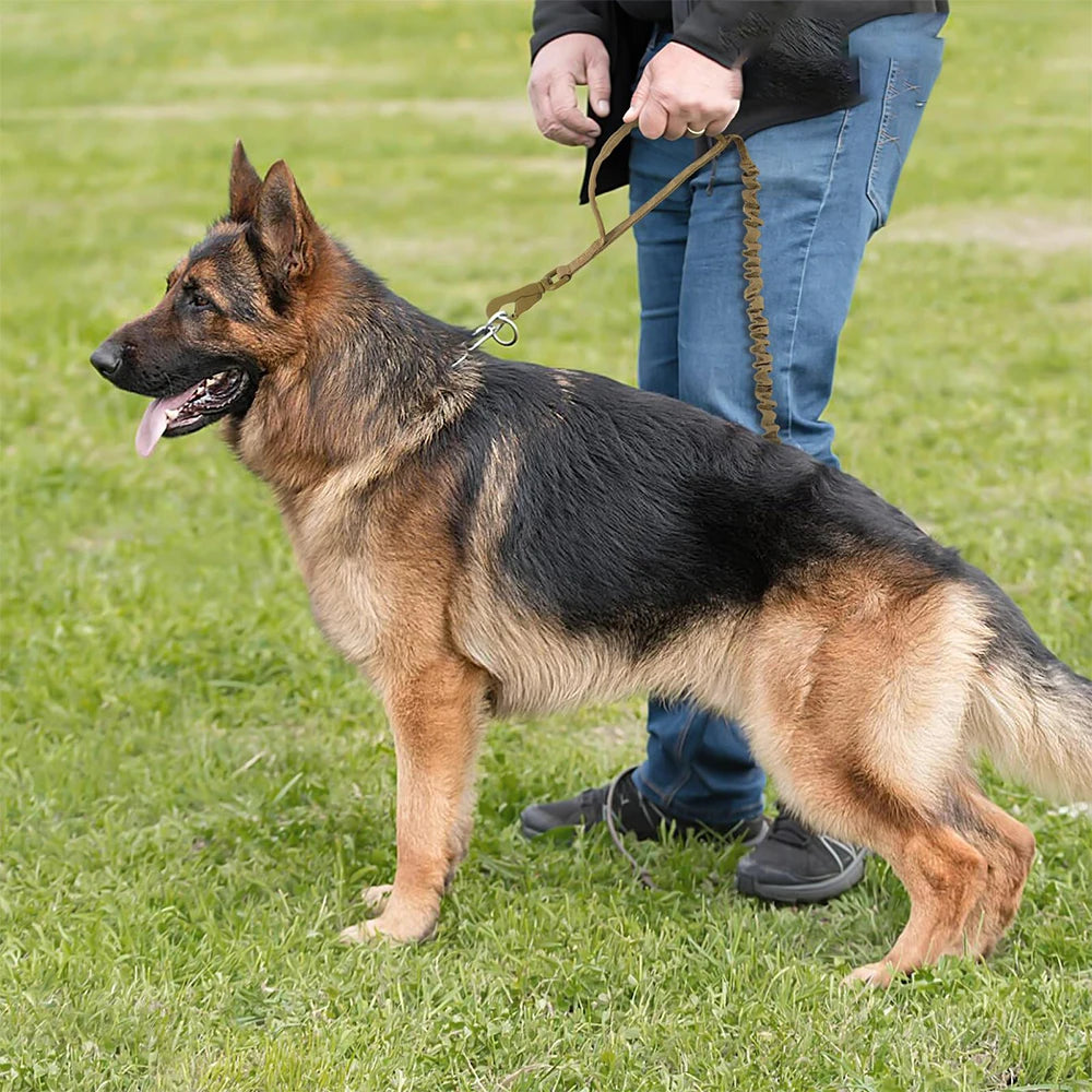 PETRAVEL Military Dog Leash With Quick Release And Dual Handles