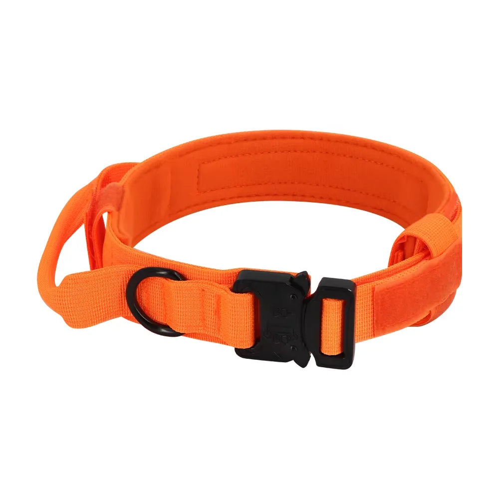 Nylon Dog Training Collar With Leash Set And Control Handle