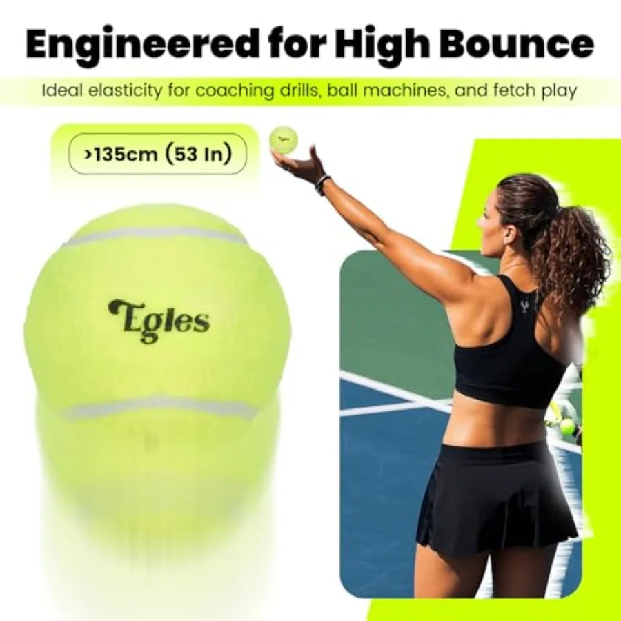 Training Tennis Balls Pack for Dogs with Mesh Bag Included