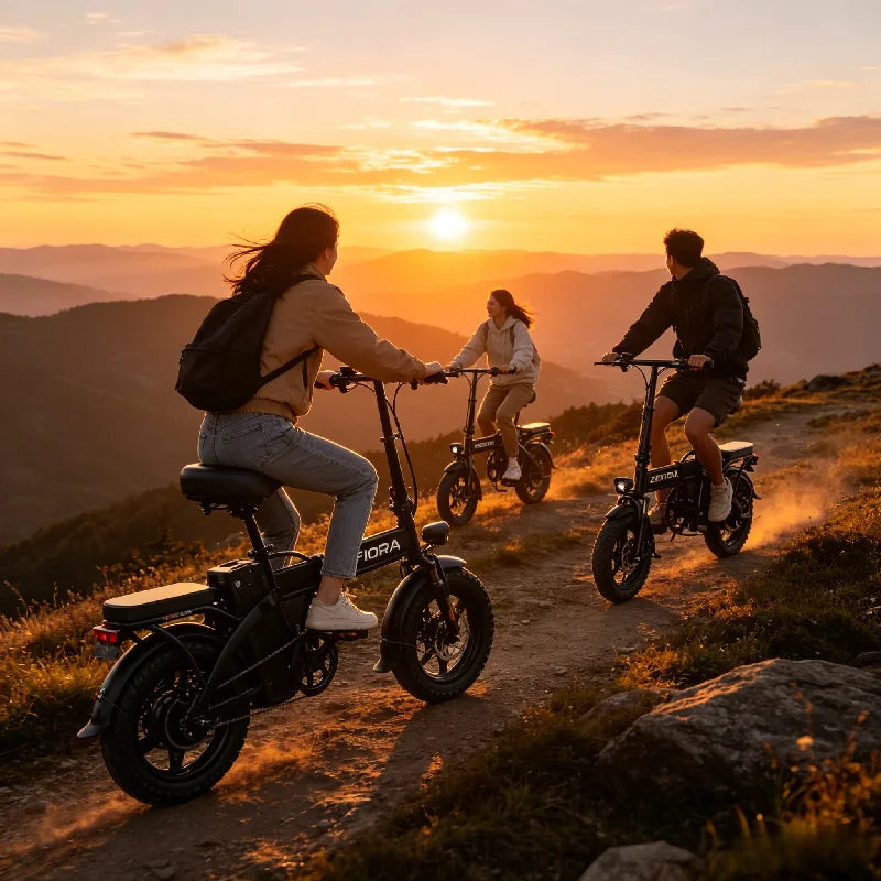 ZEFIORA Z10 Folding Electric Bike With 500W Motor UL2849 Certified