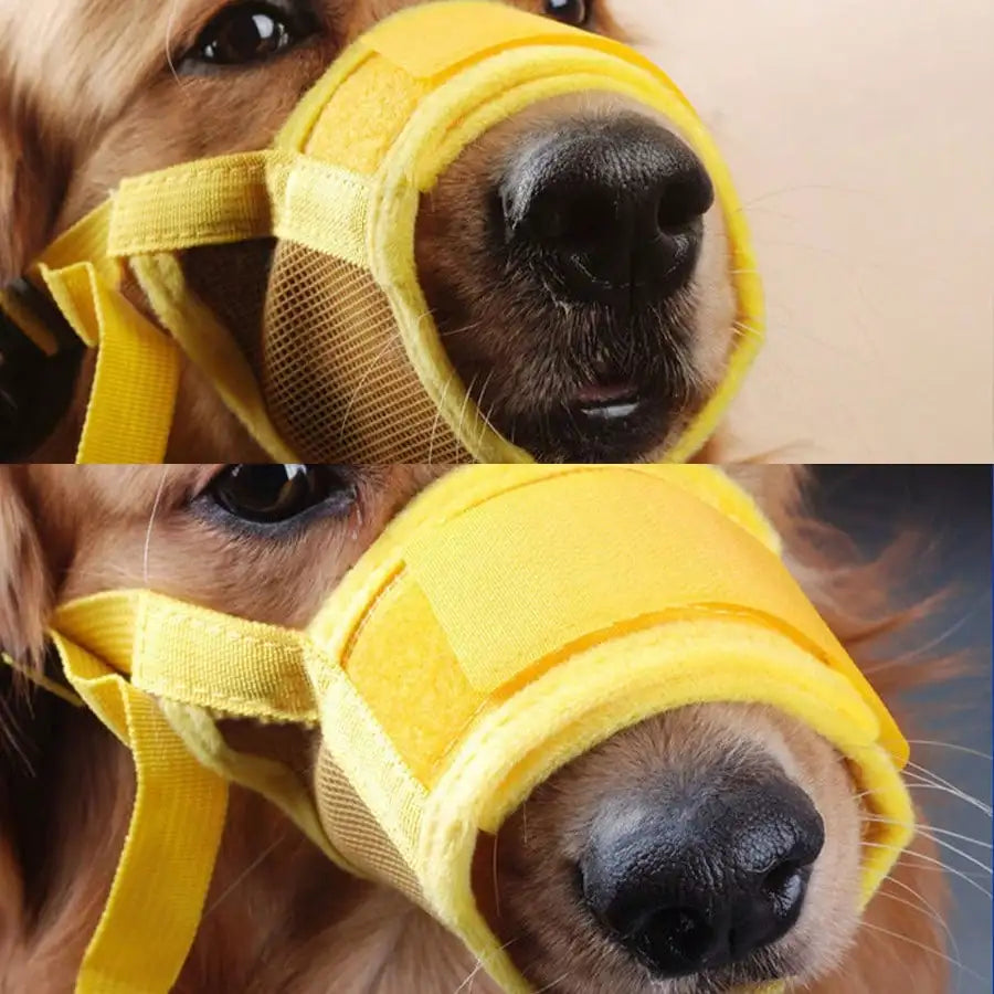 Adjustable Dog Muzzle With Breathable Mesh For Training