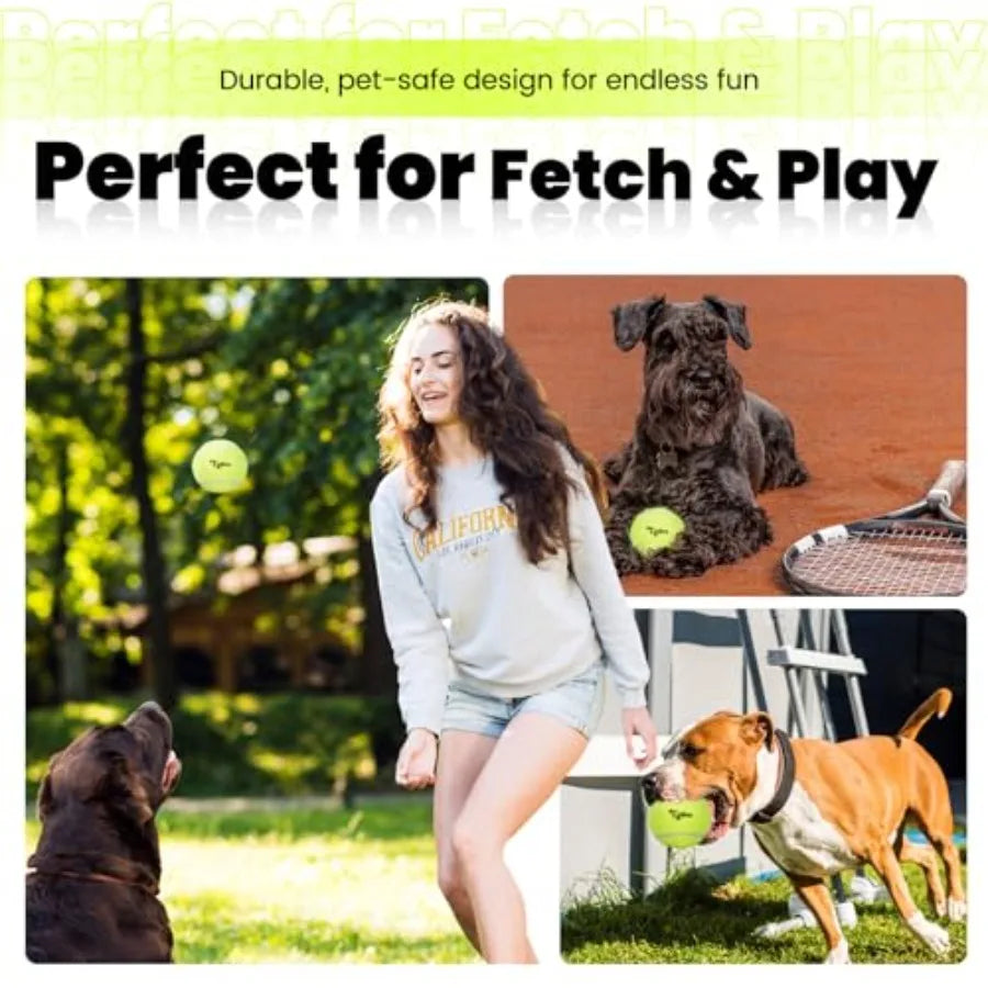 Training Tennis Balls Pack for Dogs with Mesh Bag Included
