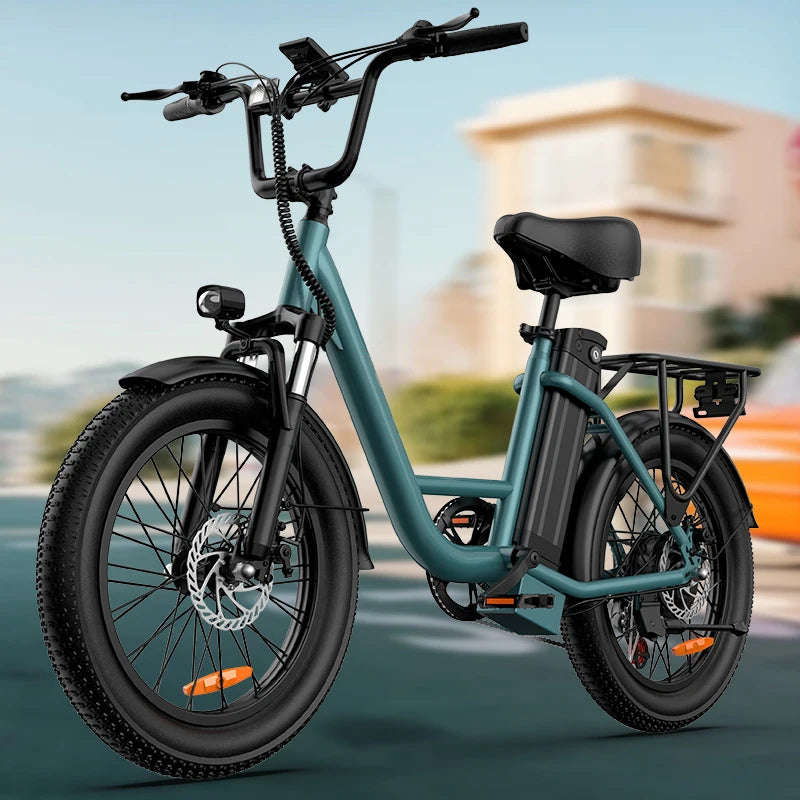 URLIFE 1000W Fat Tire Electric Bike Off Road City Commuter