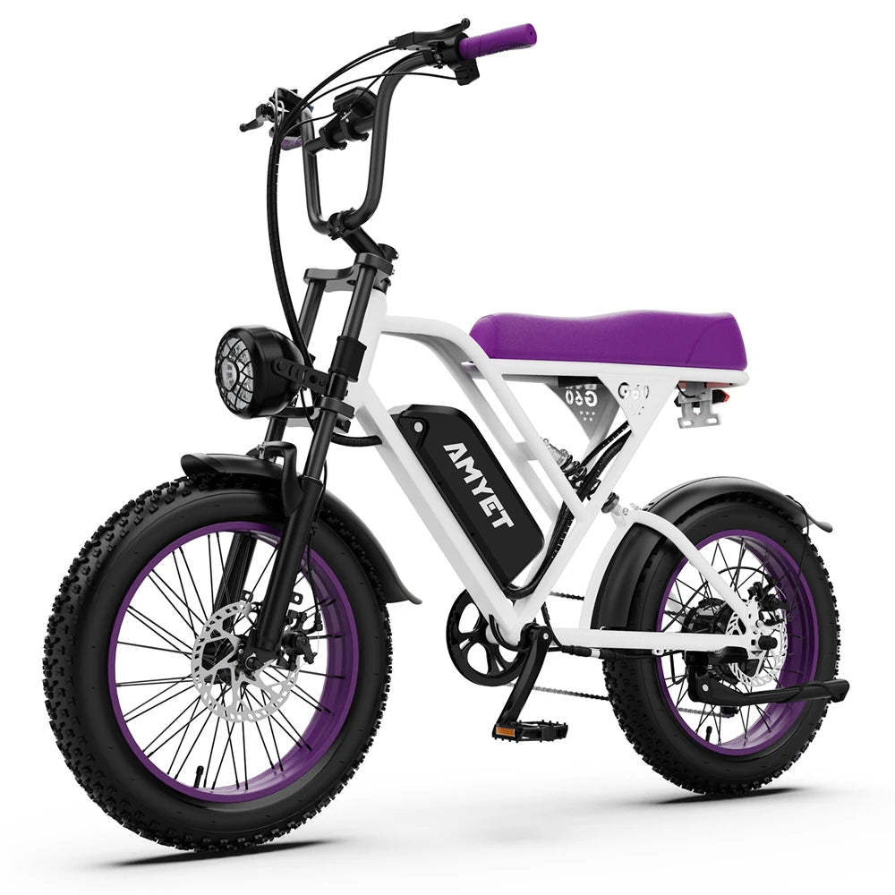 AMYET V9 G60 Electric Mountain Bike 20Ah 1000W 48V Battery