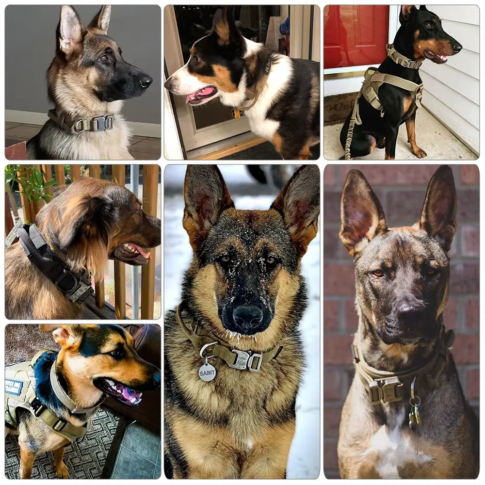 Nylon Dog Training Collar With Leash Set And Control Handle
