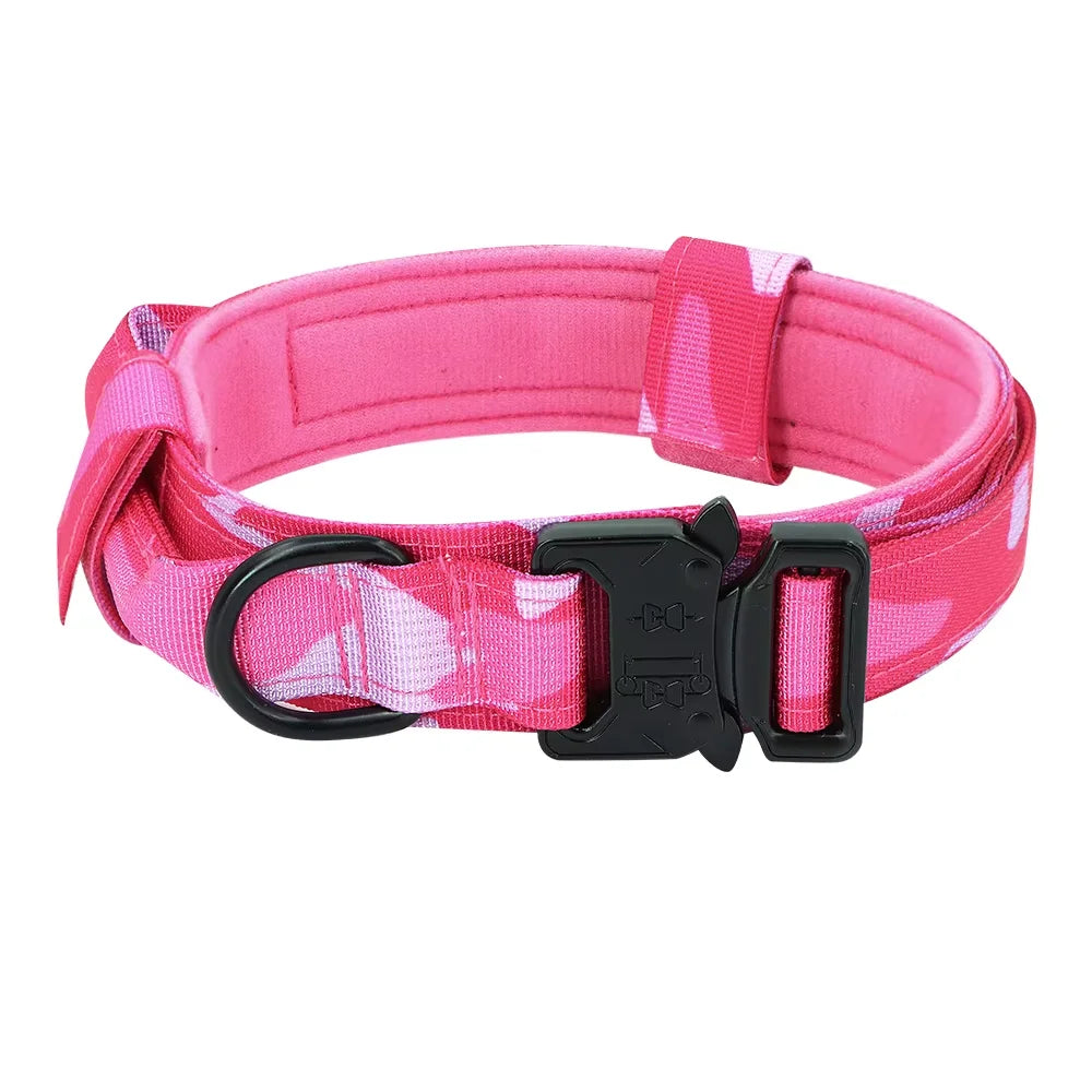 Nylon Dog Training Collar With Leash Set And Control Handle