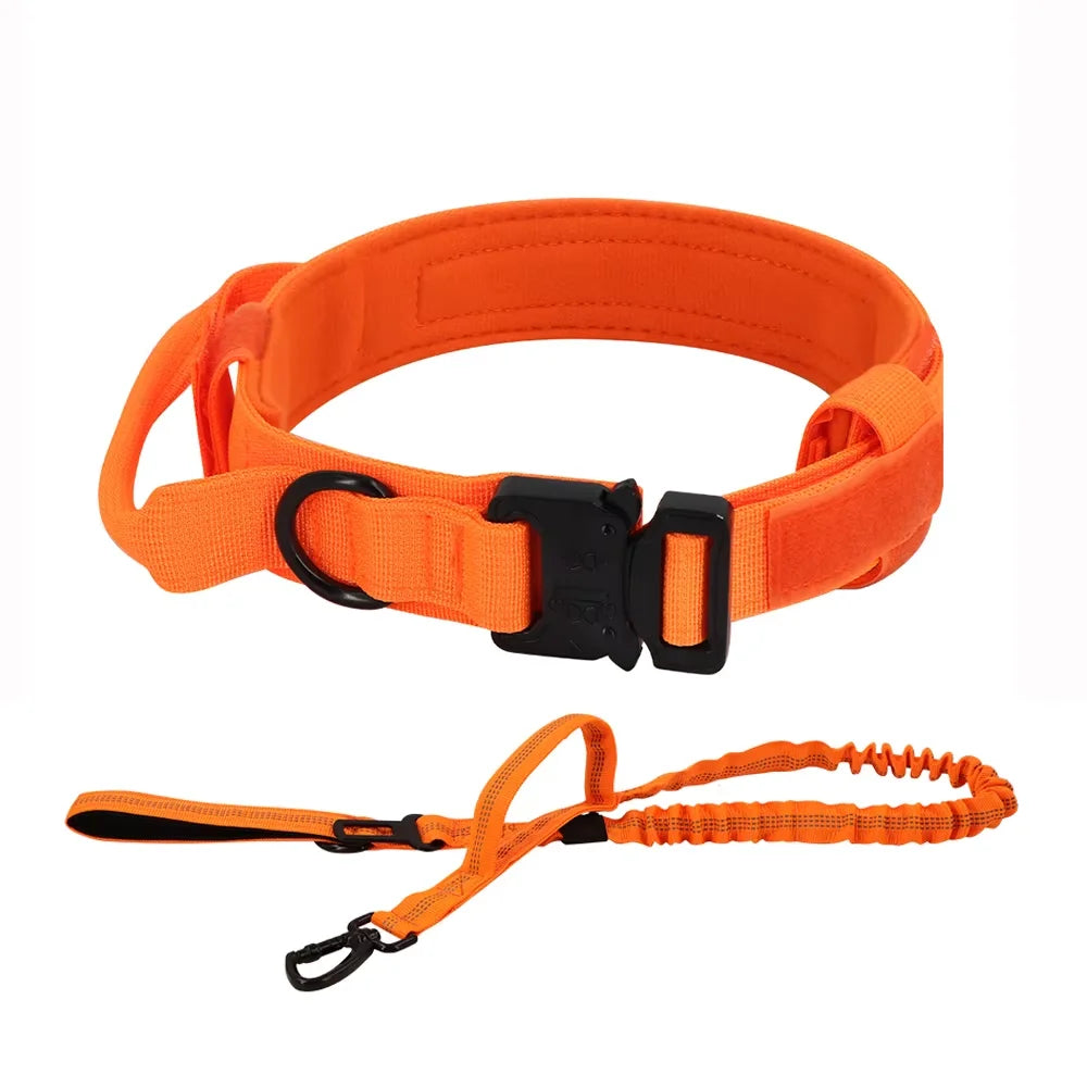 Nylon Dog Training Collar With Leash Set And Control Handle