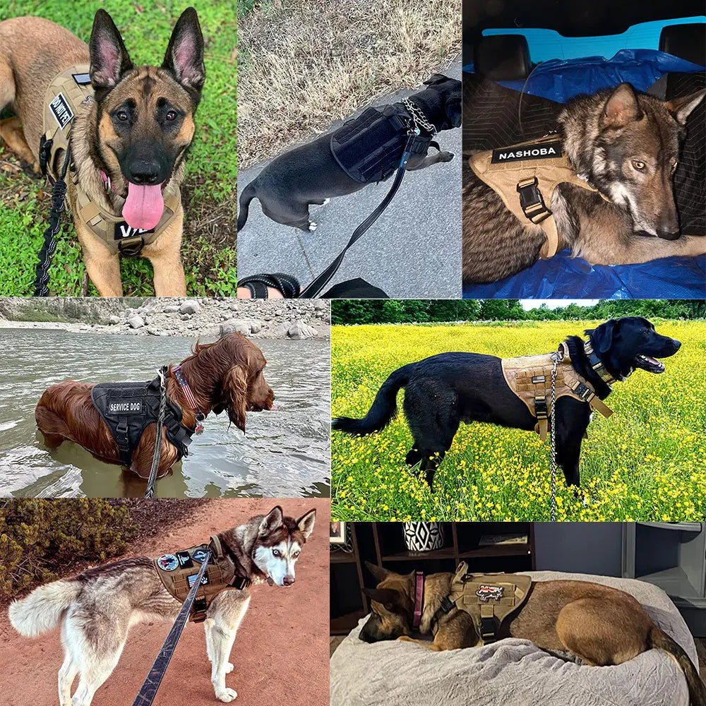 PETRAVEL Military Large Dog Harness Vest Set for Malinois Training