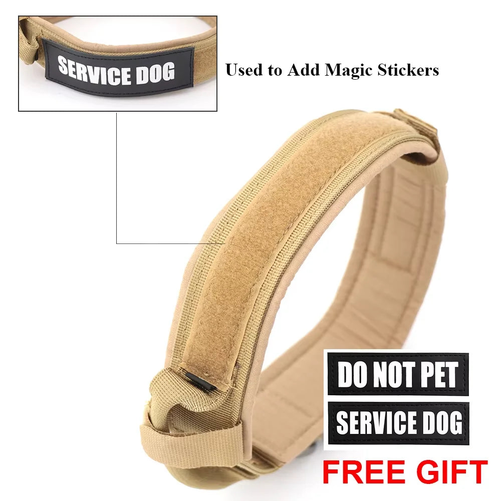 Nylon Dog Training Collar With Leash Set And Control Handle