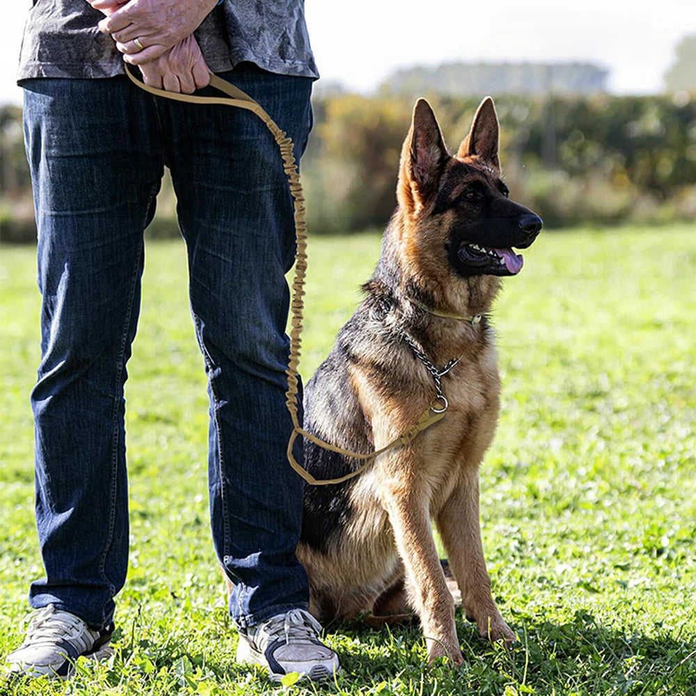 PETRAVEL Military Dog Leash With Quick Release And Dual Handles