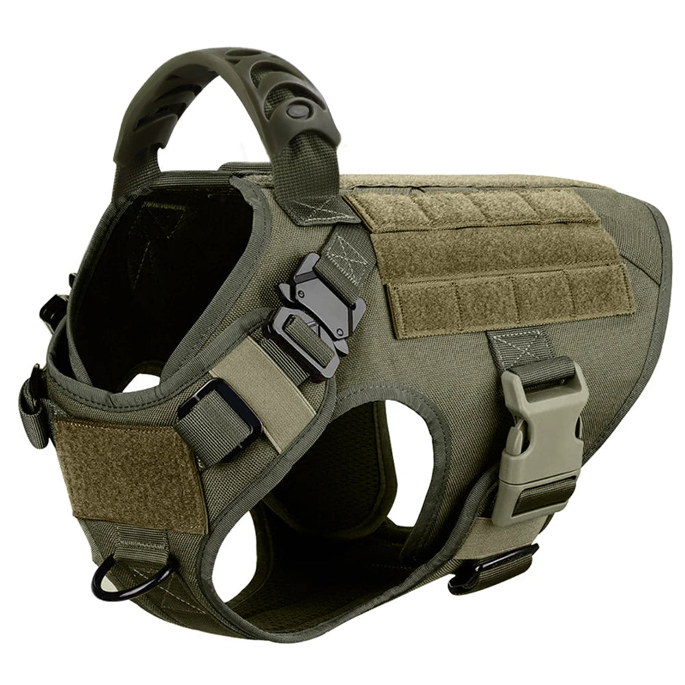 PETRAVEL Dog Harness And Leash Set For Training And Walking